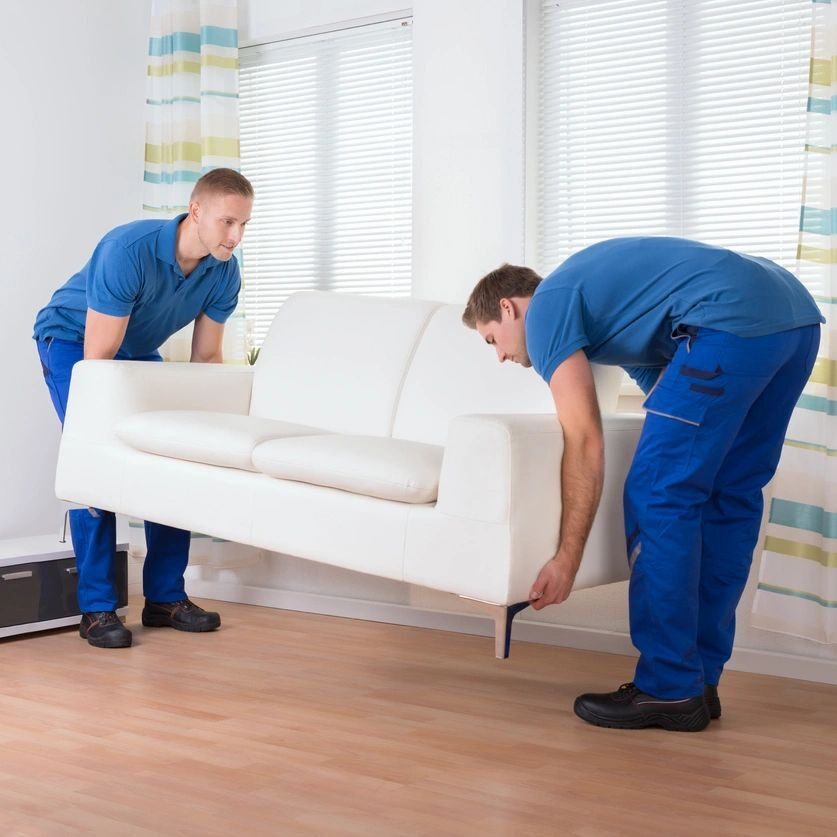 fmfxr5jjrd Discount Movers